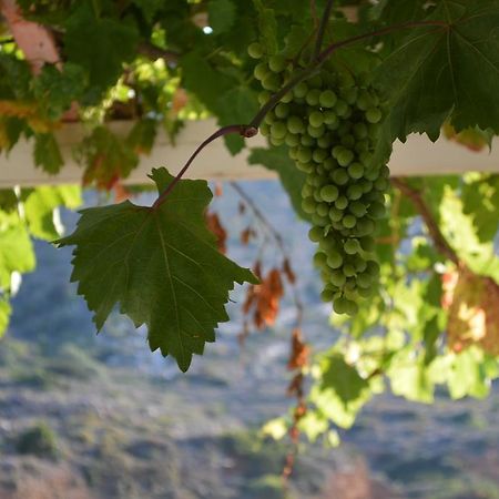 Κούκος Ξενοδοχείο Αγία Θεοδότη Εξωτερικό φωτογραφία